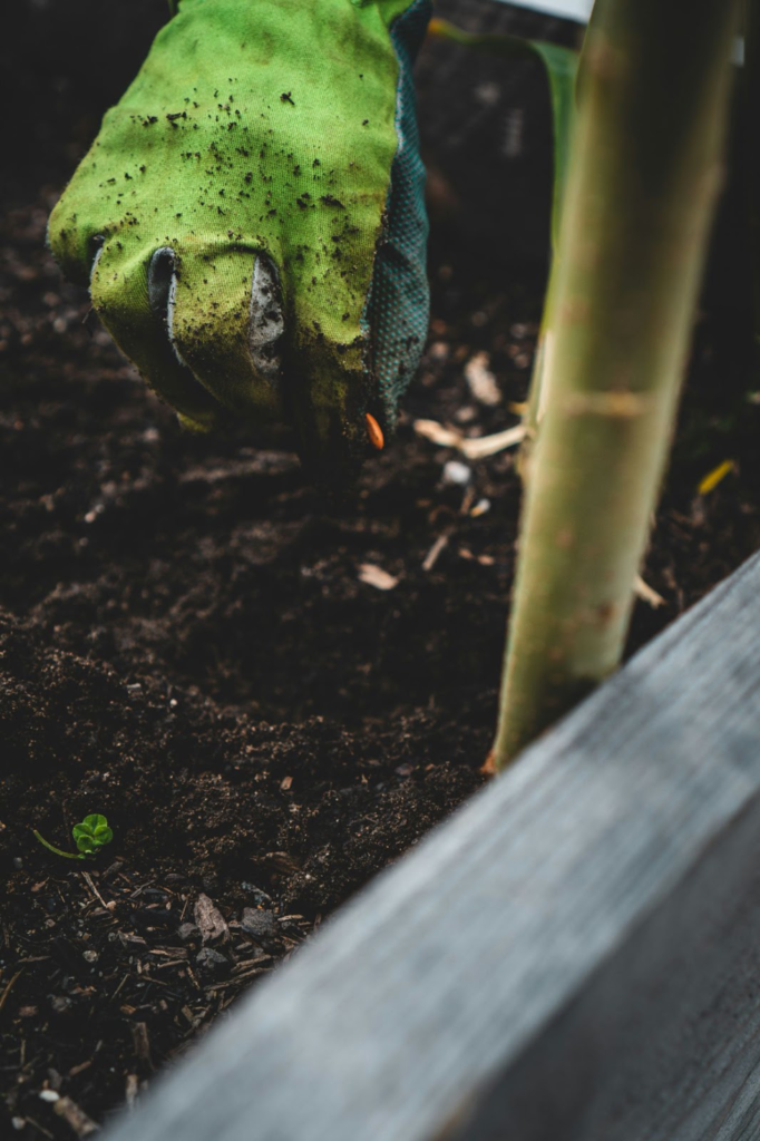 Benefits of Organic Gardening