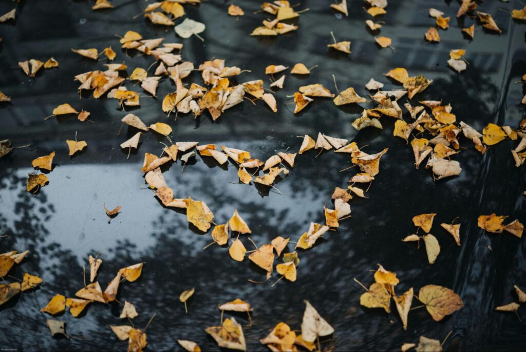 Leaf removal