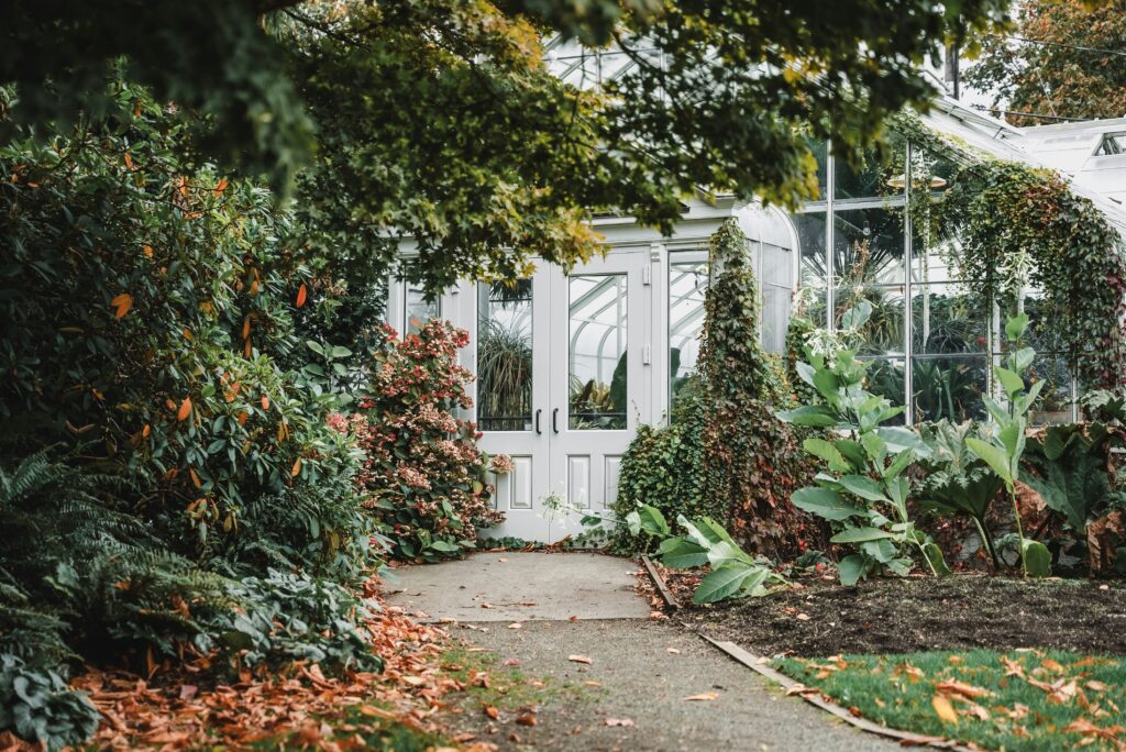 Best Ways to Winterize Your Garden