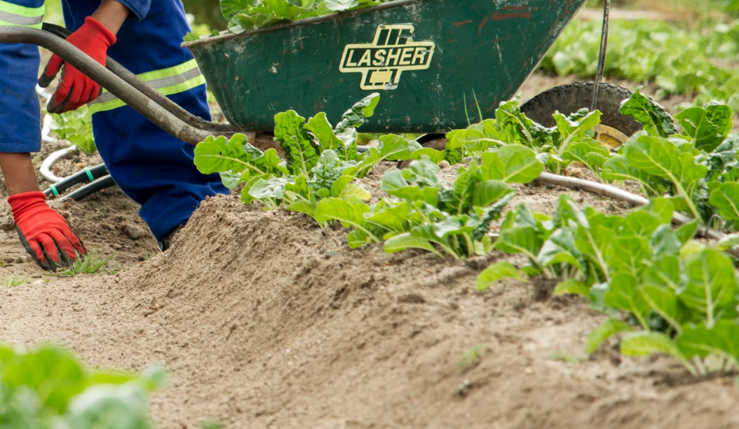 a man turns the soil of trees and flowers in his garden