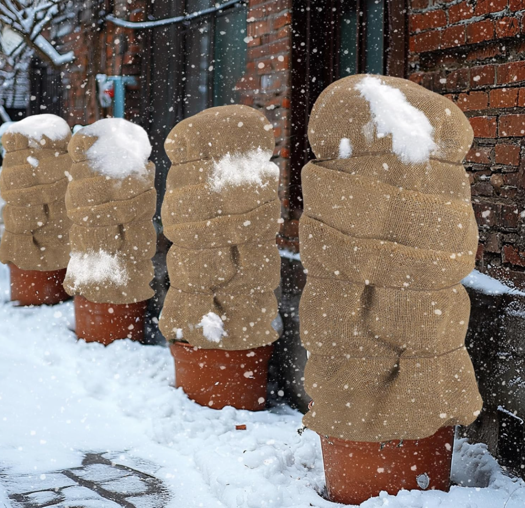 Loose Wrapping of Plants for Winter