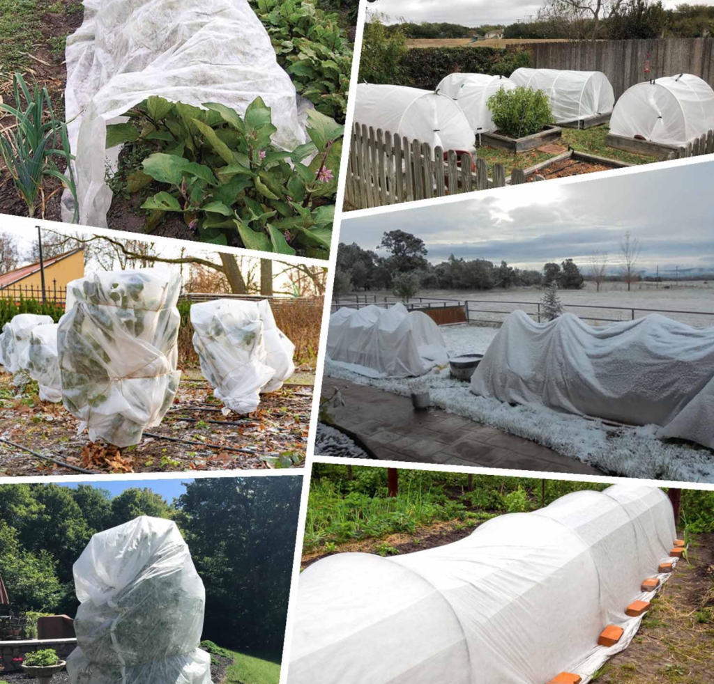 Framed Air-Dry Covering for Winter